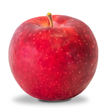 Apple, Dwarf, Kudos®