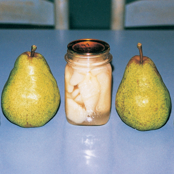 Karl's Favorite Dwarf Pear