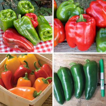 Pepper Plant Sampler