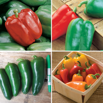 Pepper Plant Sampler
