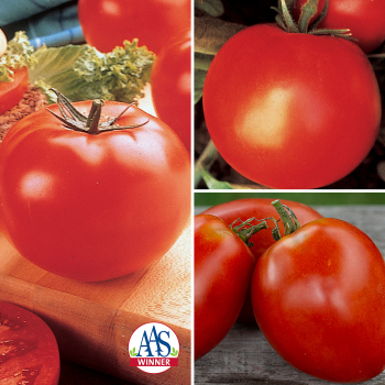 Tomato, Garden Ready Plant Sampler #1