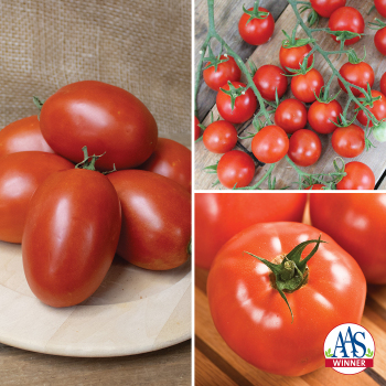 Tomato, Plant Sampler #2
