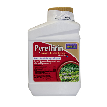 Bonide® Pyrethrin Spray