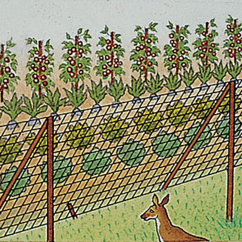 Heavy Duty Deer X® Fencing