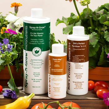 Small Garden Spray-N-Grow Collection