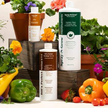 Medium Garden Spray-N-Grow Collection