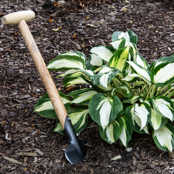 DeWit® Perennial Planter DeWit® Perennial Planter