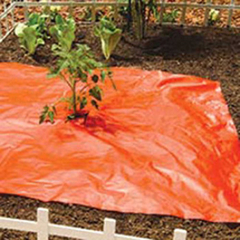 Red Mulch Film Sheets (3' x 3')