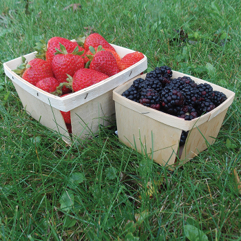 Product Image of Wooden Berry Boxes, Pints