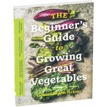 The Beginner's Guide To Growing Great Vegetable