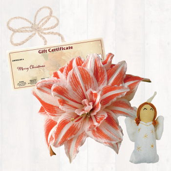 Angel Wings Gift Box