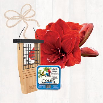 Tail-Prop Gift Box