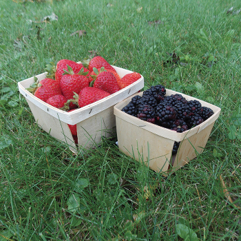 Wooden Berry Boxes, Quarts