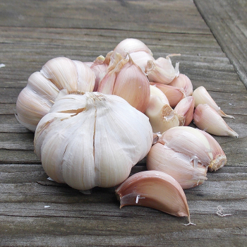 Garlic Sale