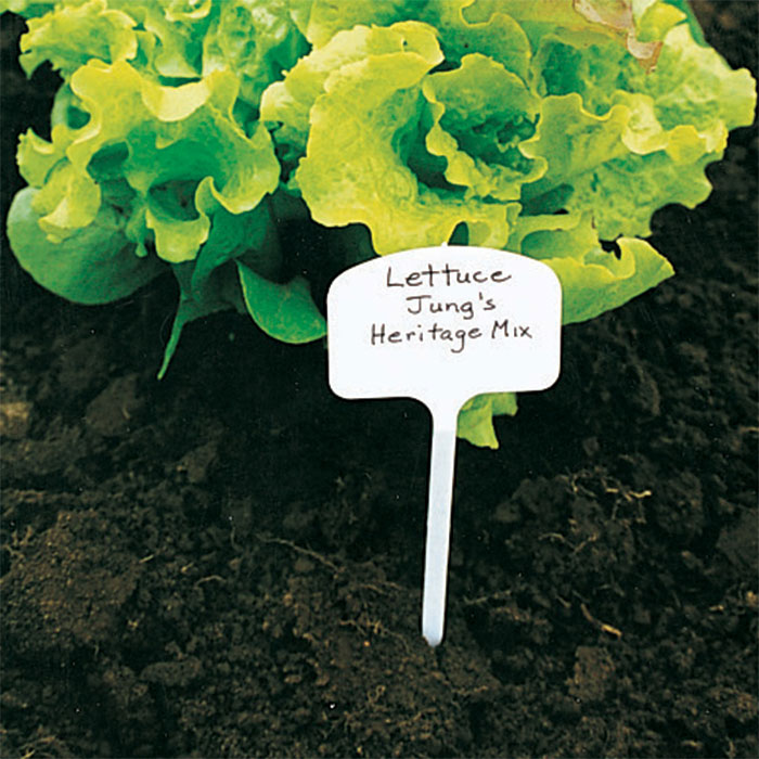 T Label Plant Markers (6 inch)