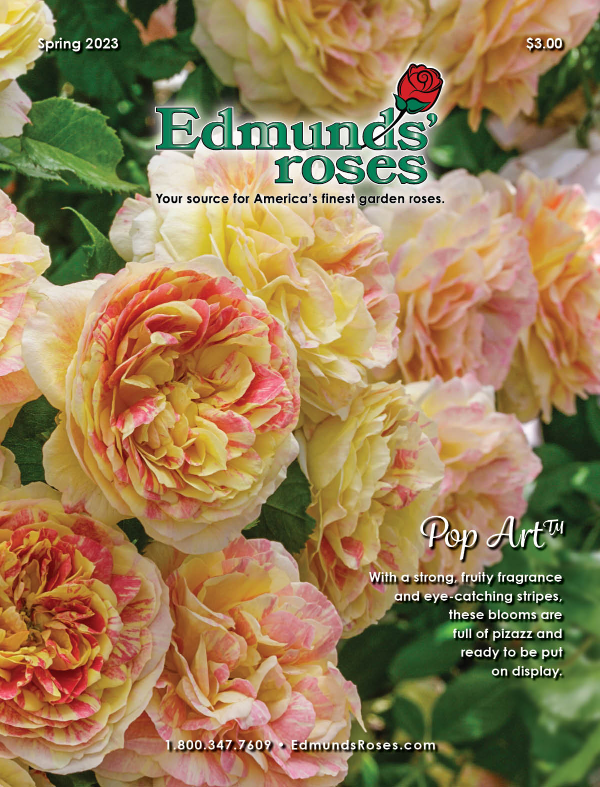 Spring 2023 Edmunds' Roses Catalog
