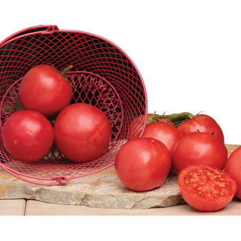 Pink-A-Licious Hybrid Tomato