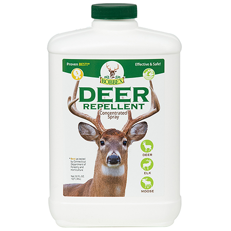 Animal and Pest Control