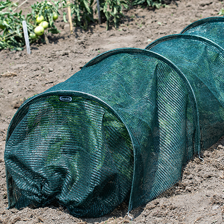 Mulches & Plant Protection