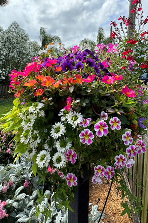 30 Window Box and Wall Trellis