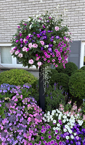 Border Column Kit with 16