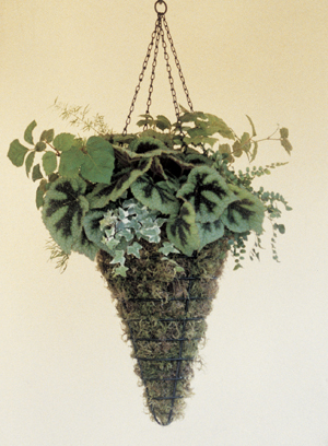 12 Inch Diameter Conical Hanging Basket (Planter Only)