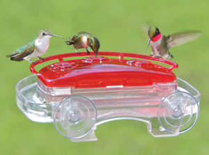 Jewel Box Hummingbird Window Feeder