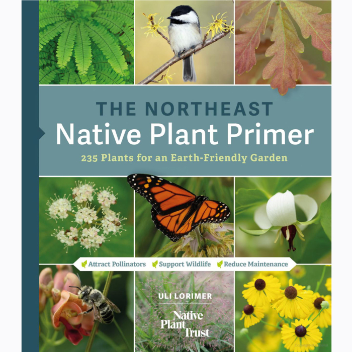 The Northeast Native Plant Primer Book