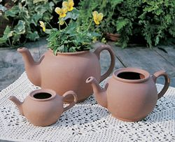 Medium English Teapot Planter