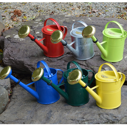 Large Classic Watering Cans