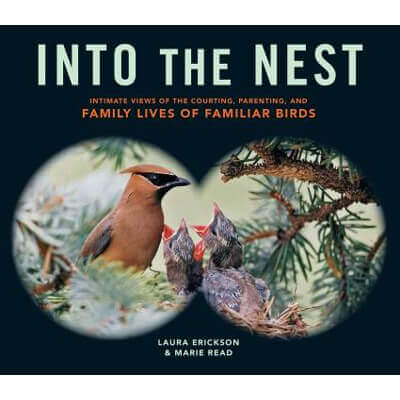 Into the Nest Book