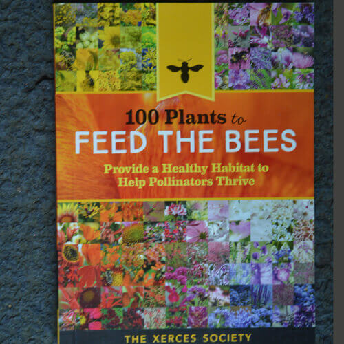 100 Plants to Feed the Bees Book