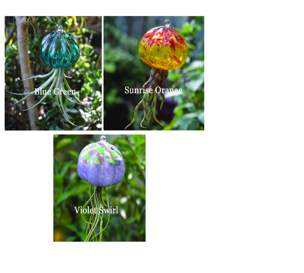 Jelly Fish Air Plant Hangers
