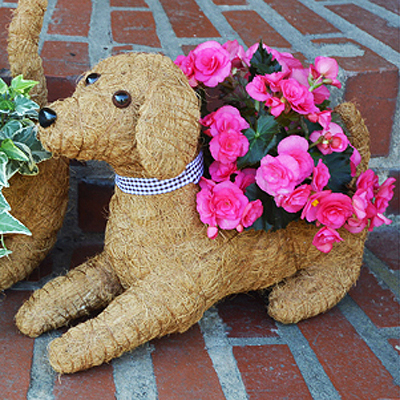 Rocky the Coco-Fiber Lying Down Dog Topiary Planter