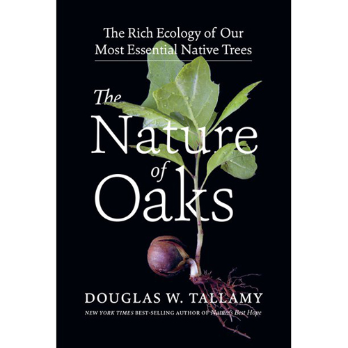 The Nature of Oaks:  The Rich Ecology of our Most Essential Native Trees Book