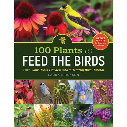 100 Plants to Feed the Birds Book 