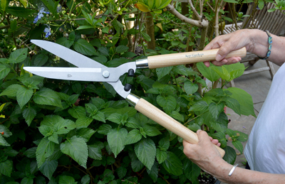 Razorsharp Wooden Handled Hedge Shears-Kew S & J            