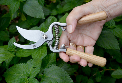 Razorsharp Wooden Handled Bypass Pruners-Kew S & J     