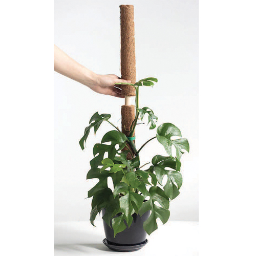 Extendable Coco-Fiber Poles for Climbing Plants