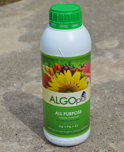ALGOplus All Purpose Fertilizer