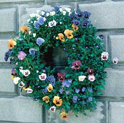 Small 16" Living Wreath Form (w/Jute Liner)