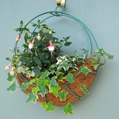 14-inch Wreath Hanging Basket with Coco-fiber Liner