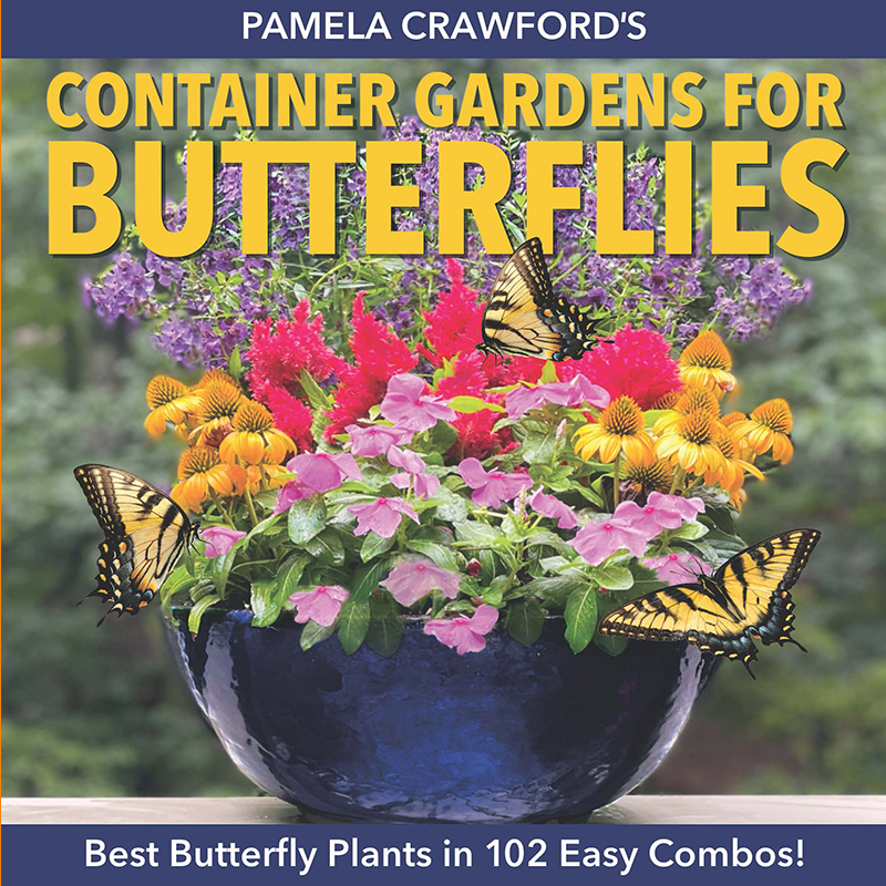 New! Pamela Crawford's "Container Gardens for Butterflies" Book