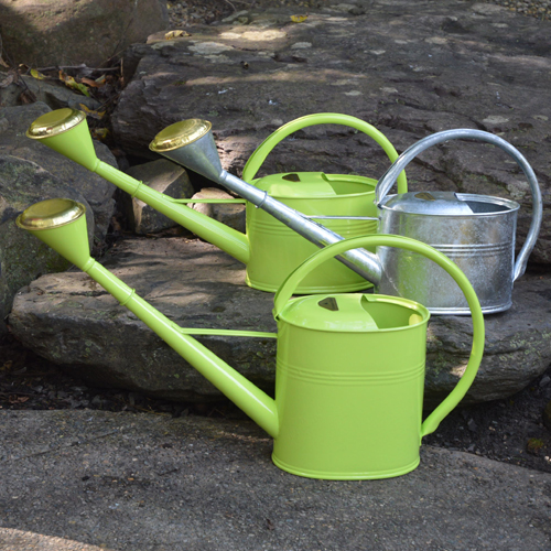 English Watering Cans, Sprinkling Rose, Galvanized Watering Cans