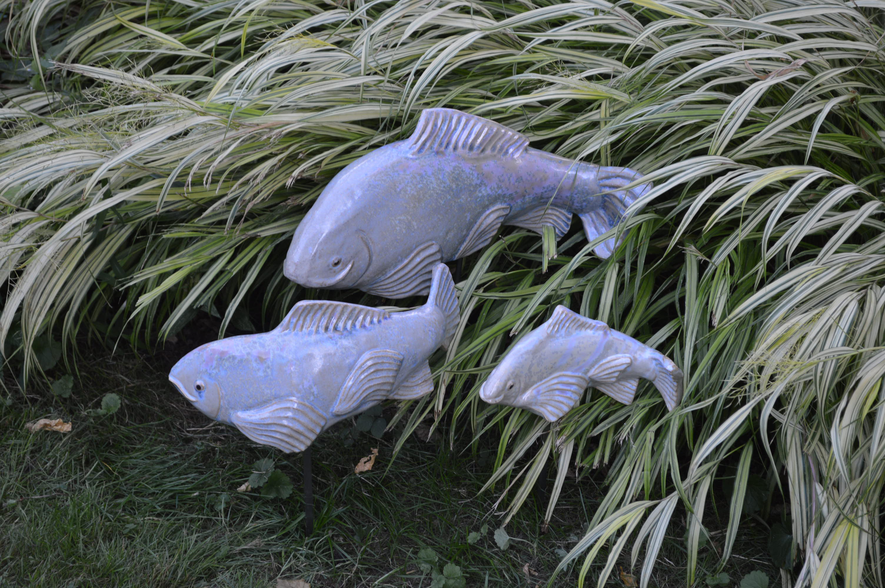 Fish in the Garden