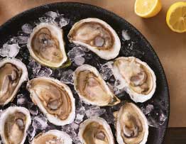 fresh raw oysters