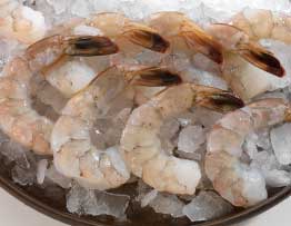 Jumbo raw shrimp