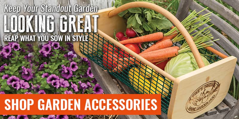 SHOP Garden Accessories