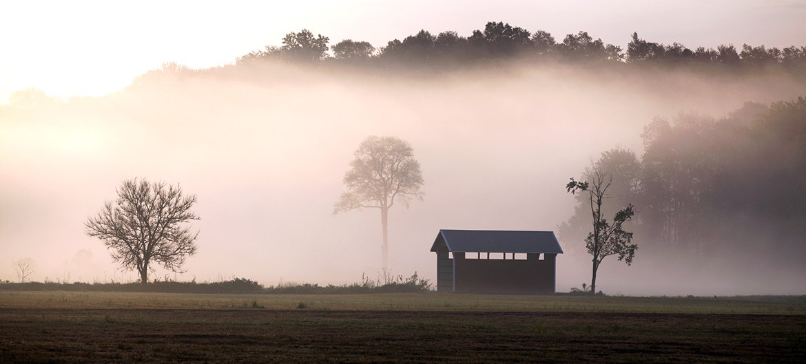 Morning mist in Trail, Ohio