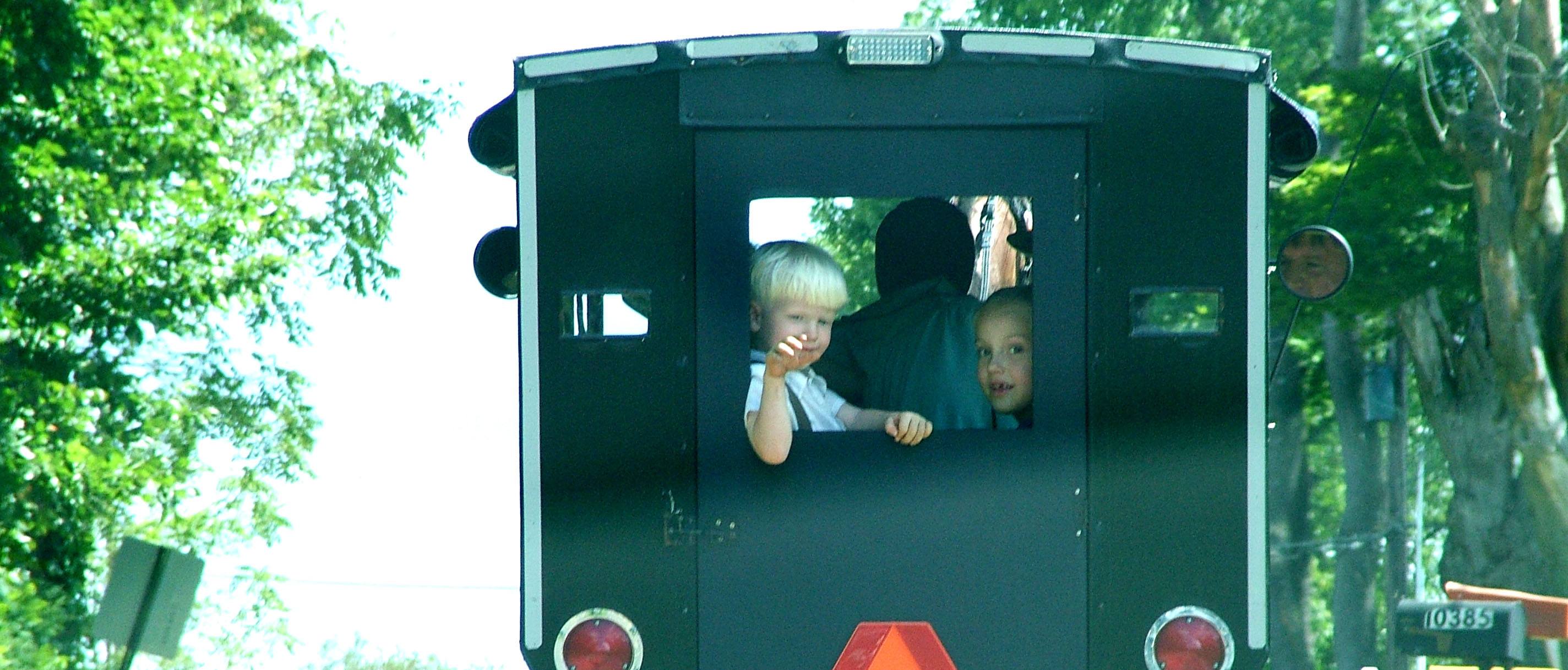 Children peering out of the back window of a buggy